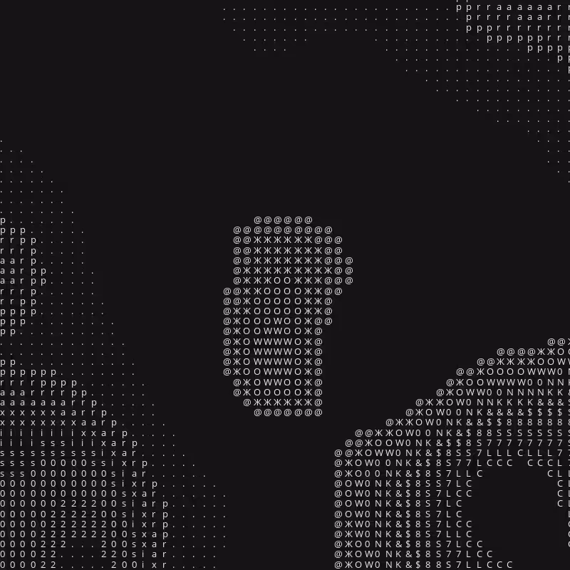 Praxis 002 #6