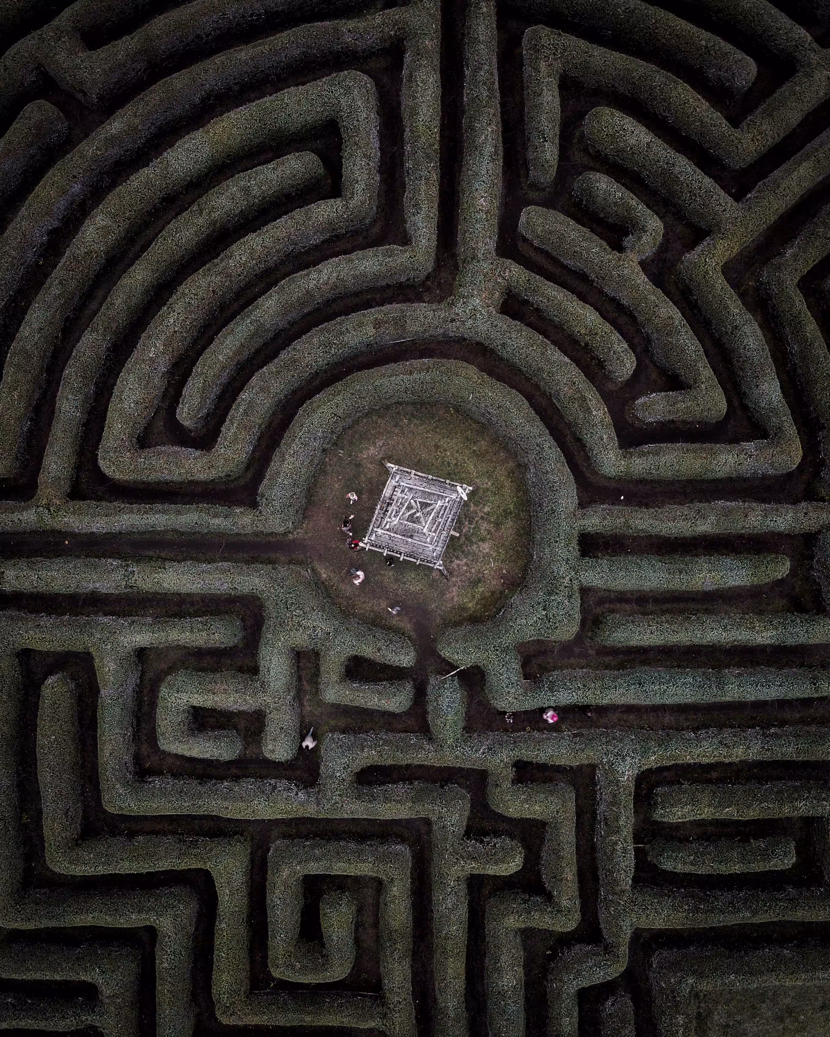 Maze Hacker #23