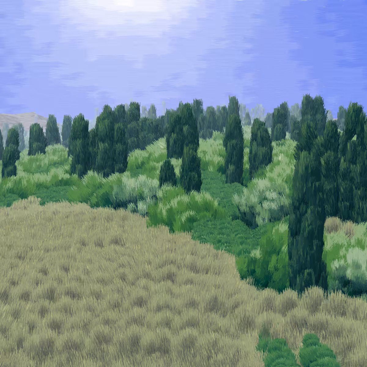 Provence #472