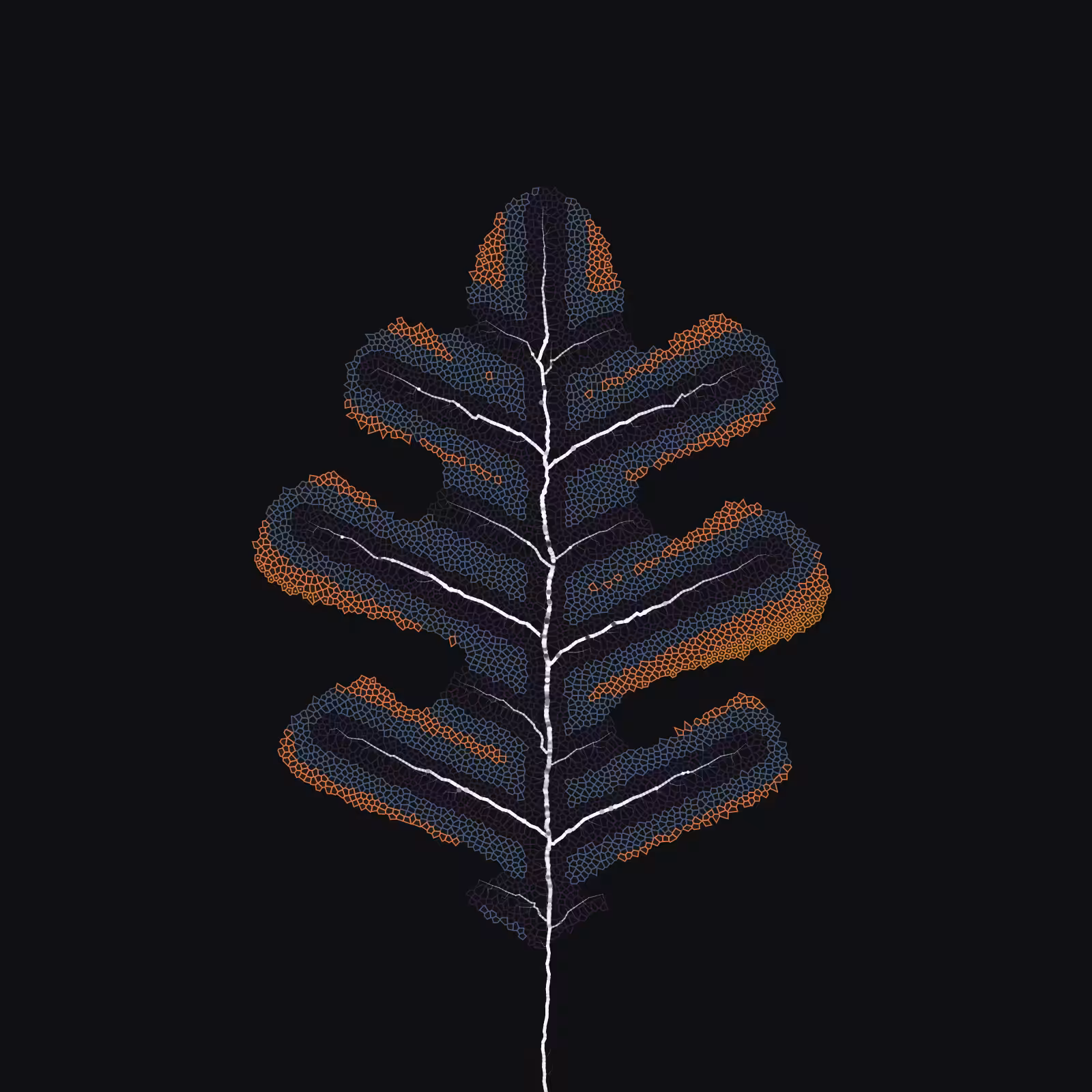Leaf study #34