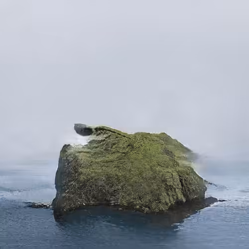 Founder Island #2