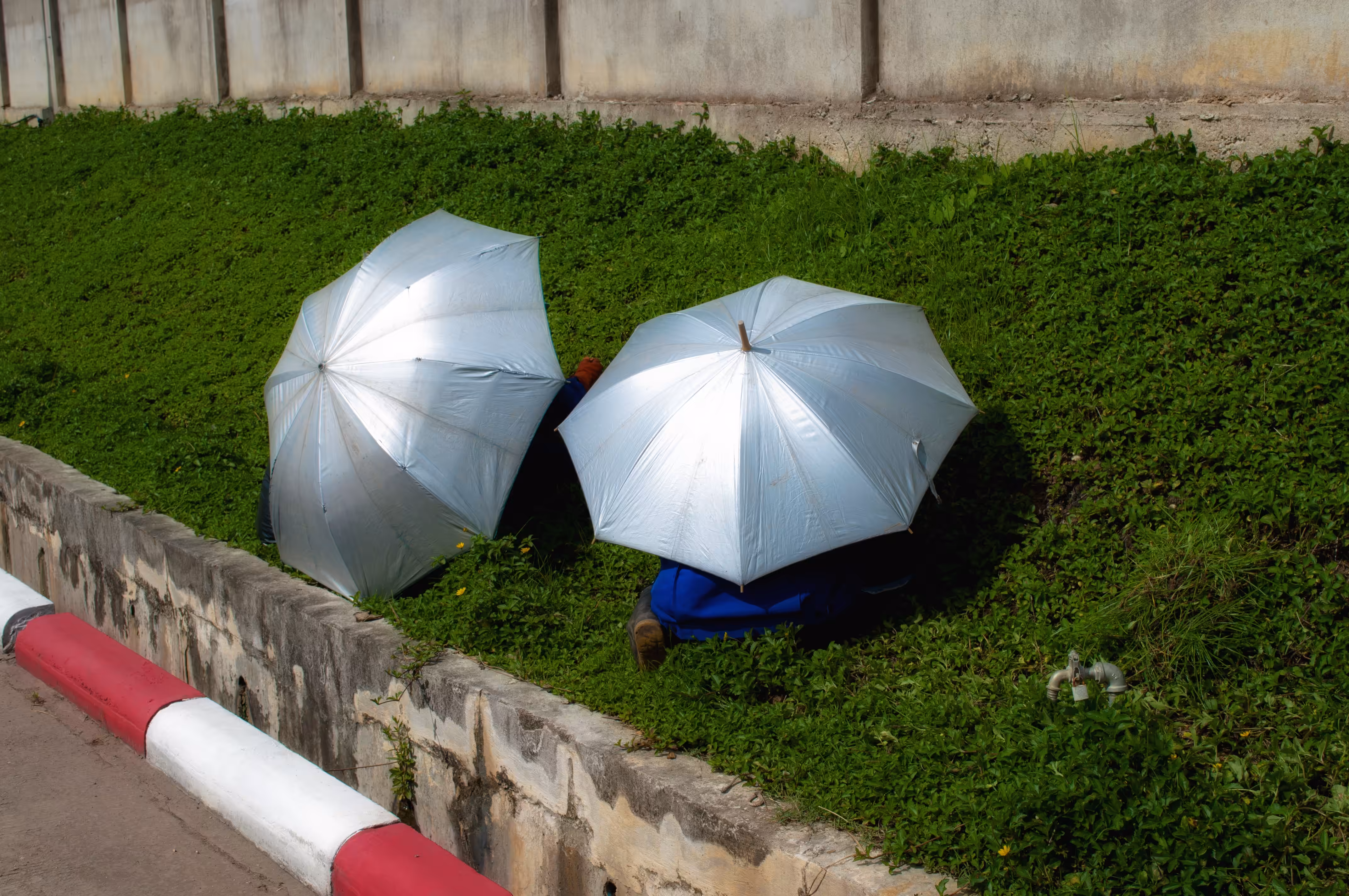 Living Under Cover 