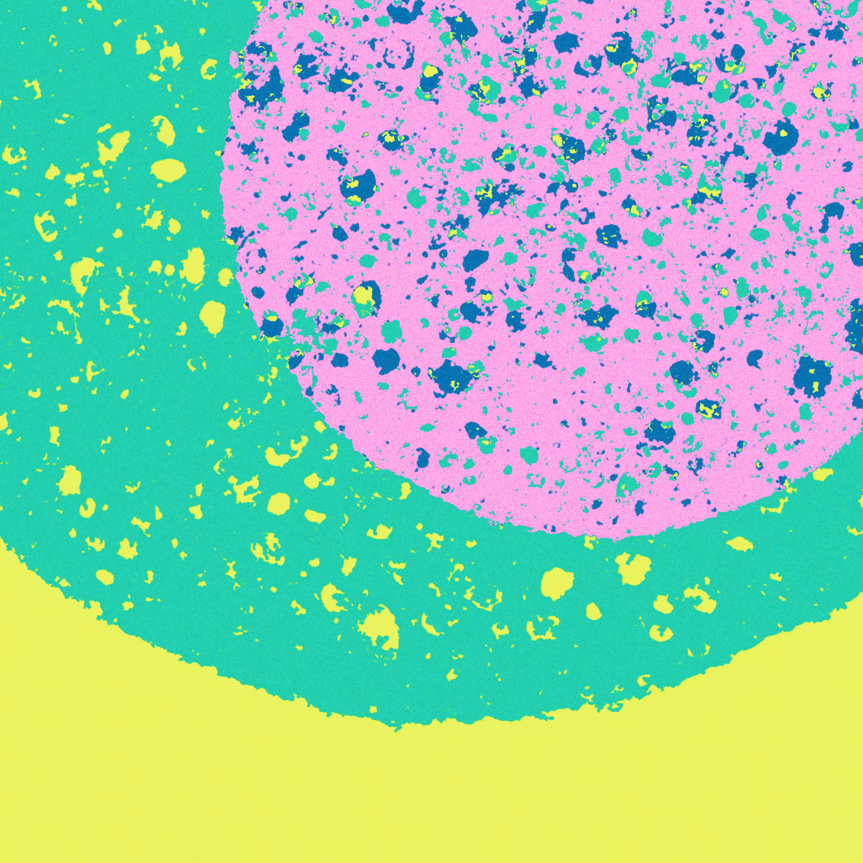 Melon