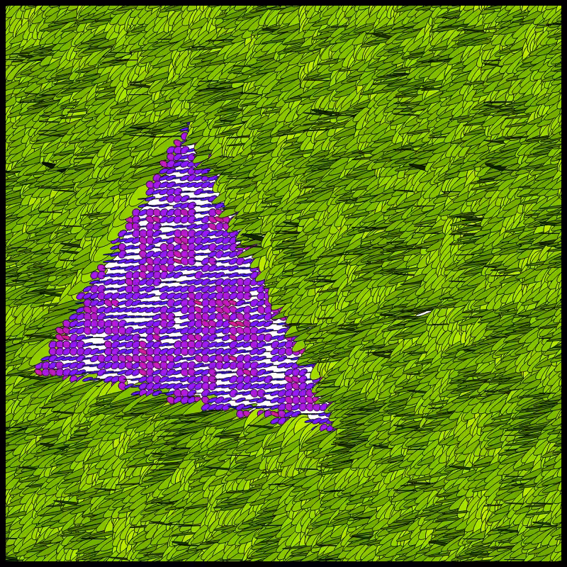 Flow Field Circles Triangle #13
