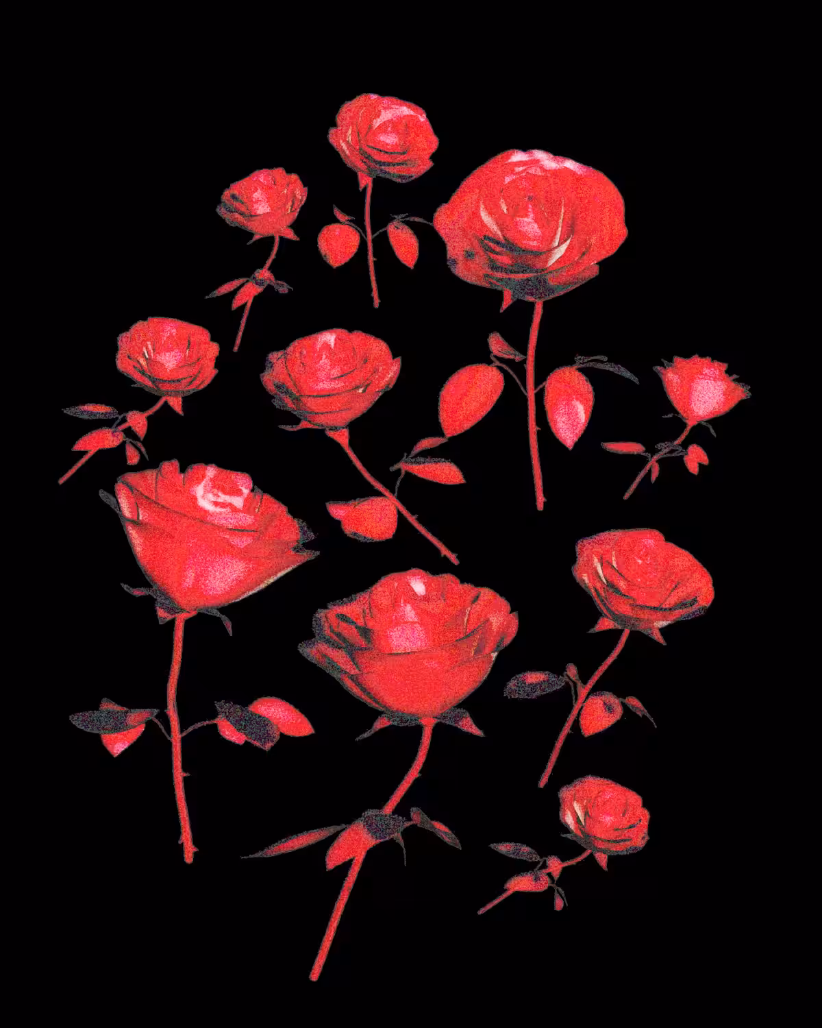 DigitalFlowers.mp4