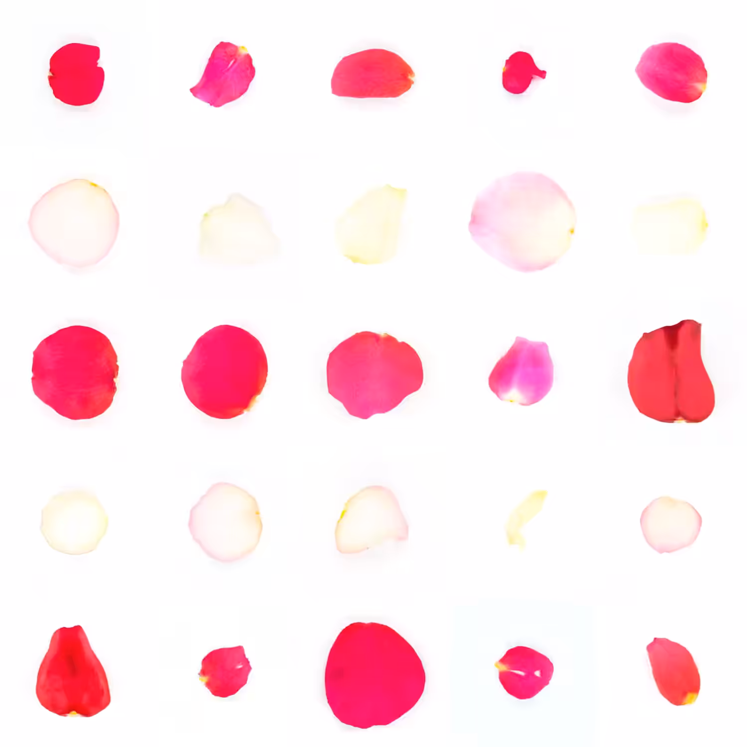 Infinite Petals 5x5#20389