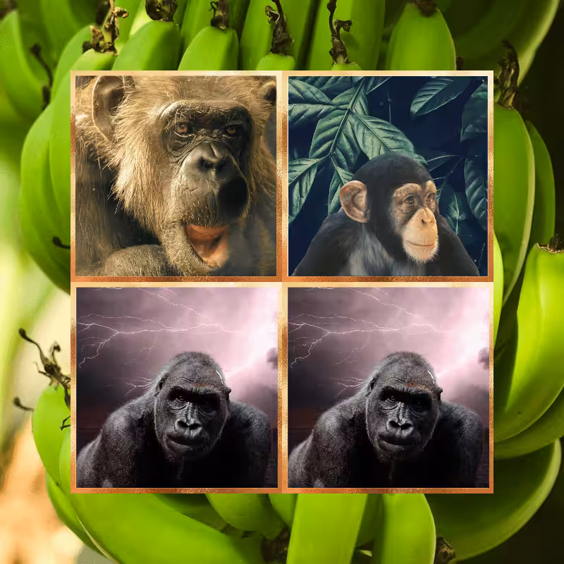 Banana legends #4
