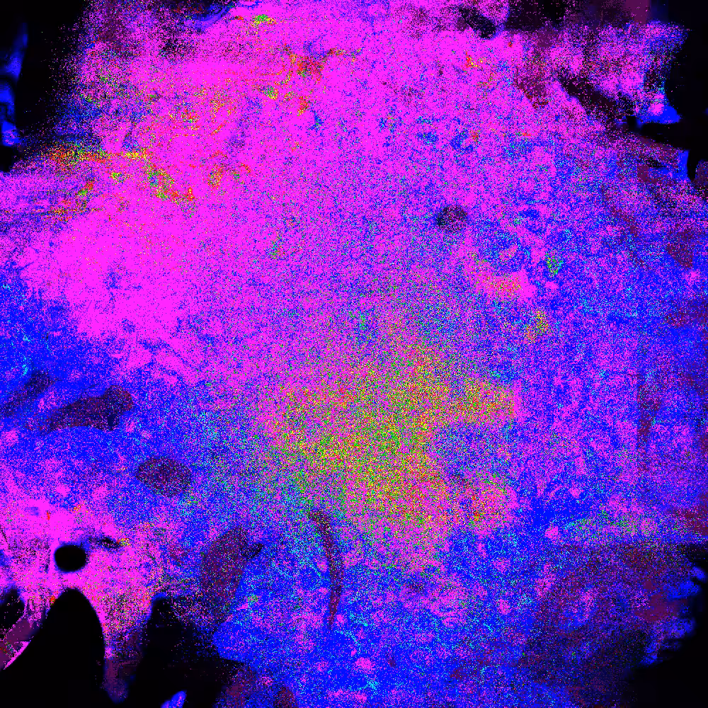 Organically Inorganic #6