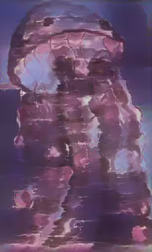 Rainmaker Jellyfish