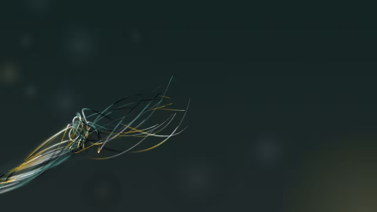 fxhash SpeedRun: any% < 960 minutes #82