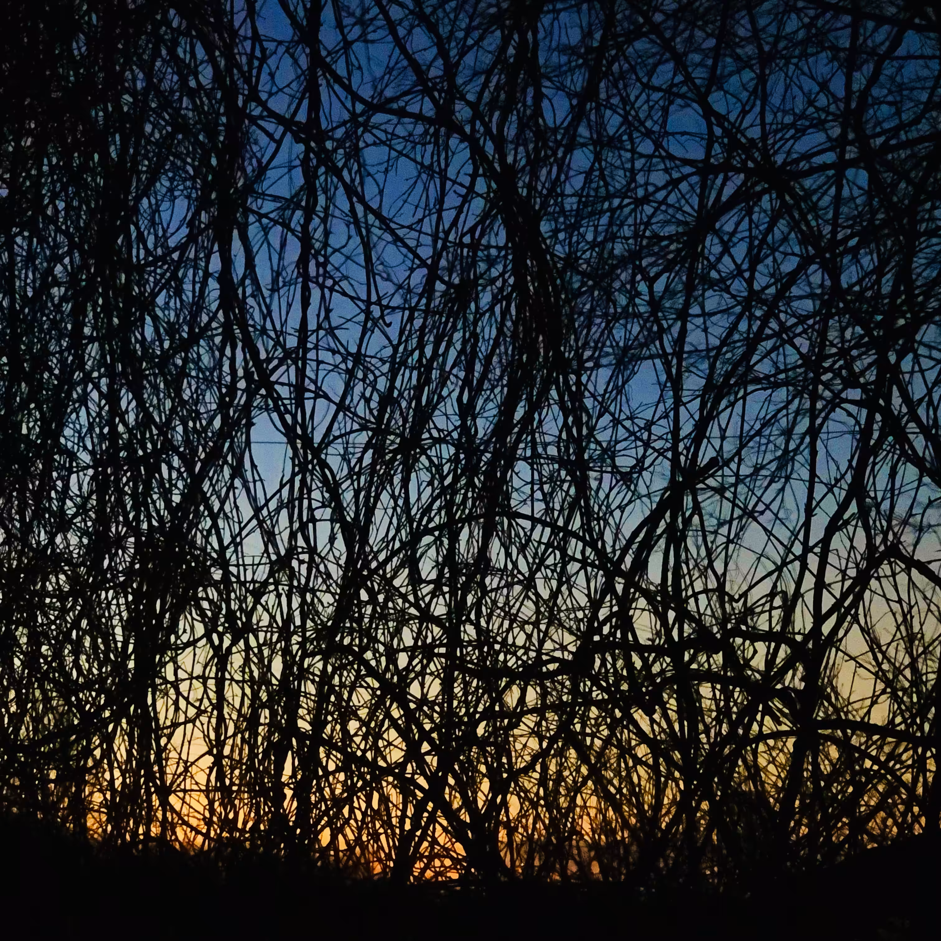 natural masterpiece