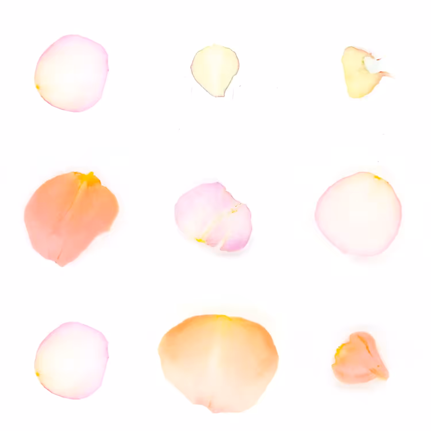 Infinite Petals 3x3#3462