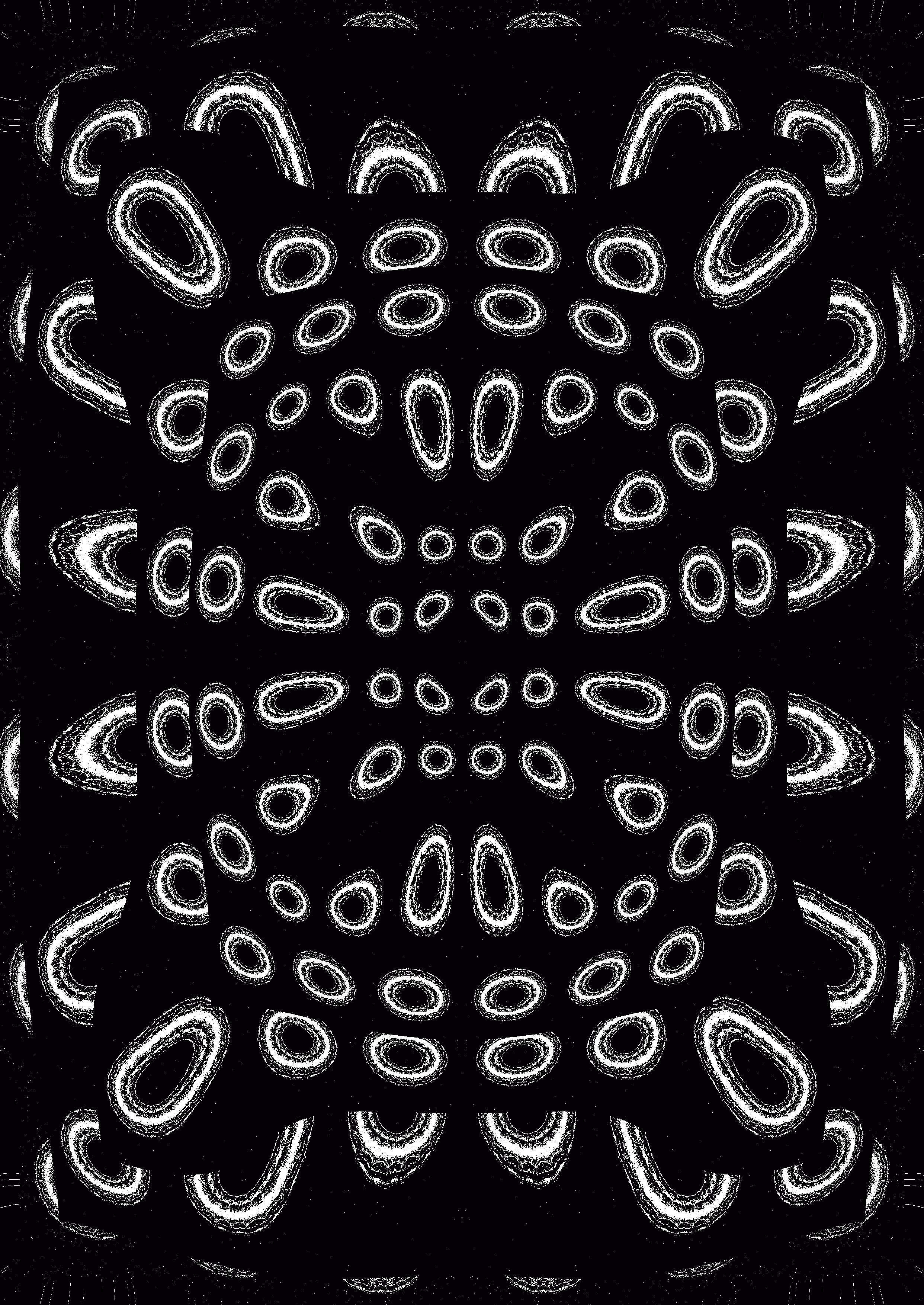 Octopi 