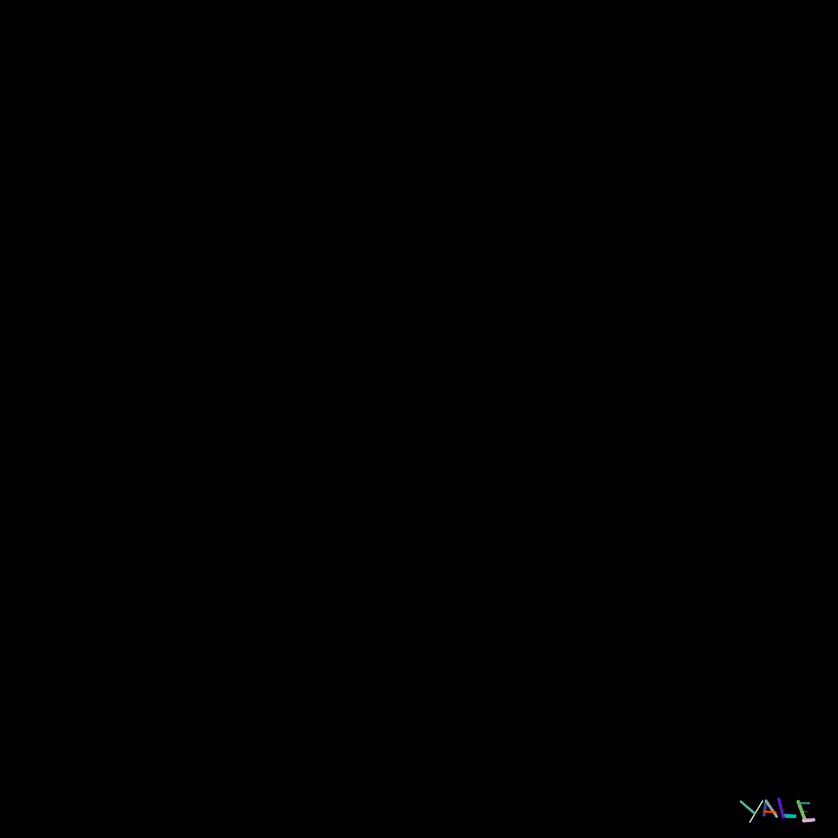 Black #14