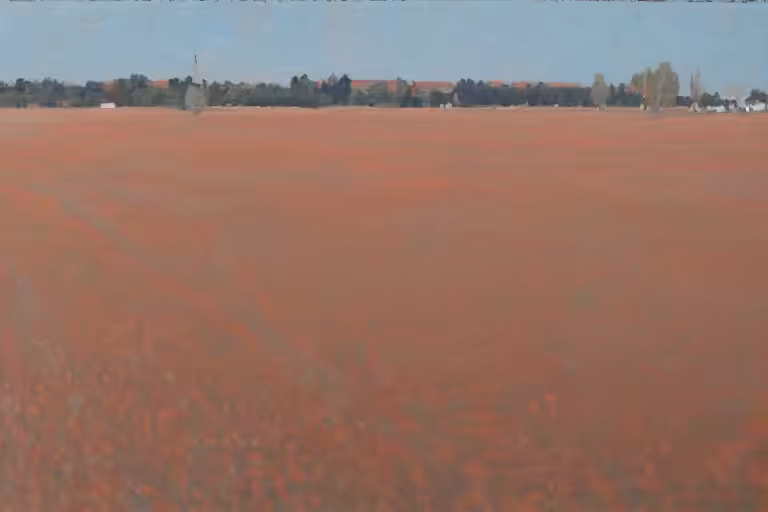 ―――――――――――― #5