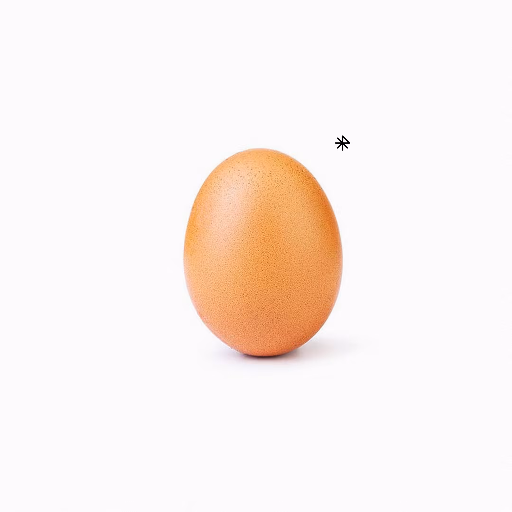 RODEO RECORD EGG
