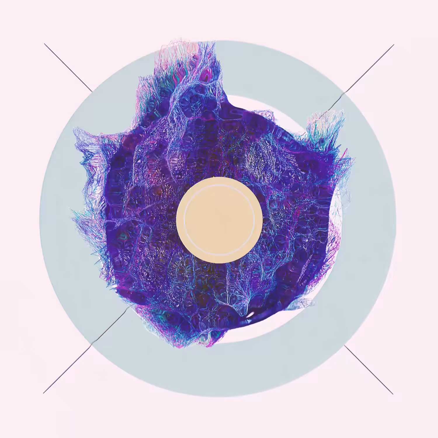 Droops 04