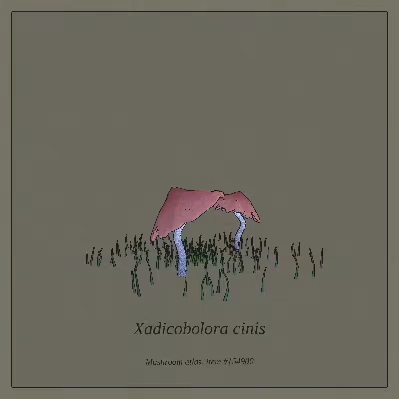 Mushroom Atlas #49