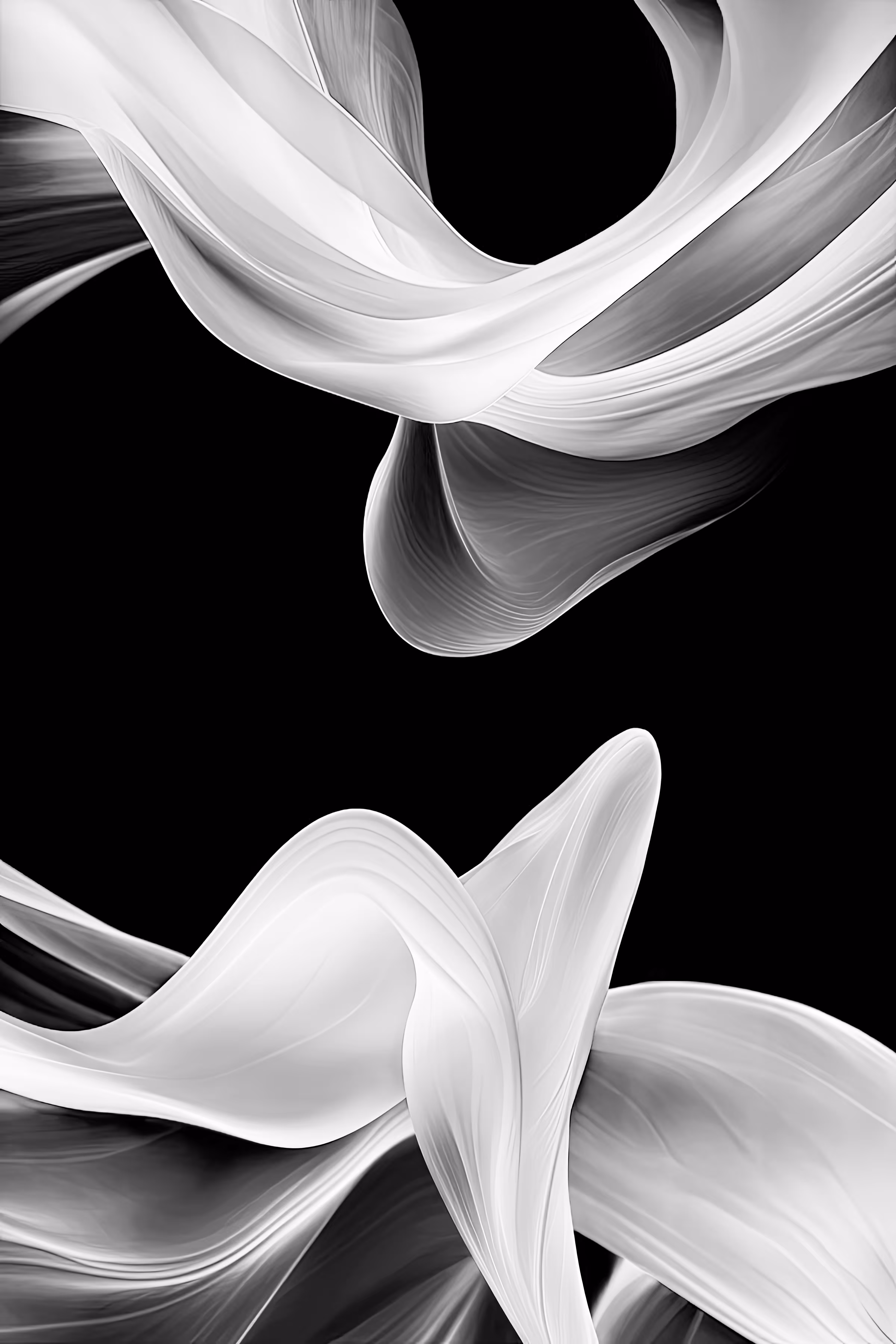 Monochrome Hybrids: Shadow Dance
