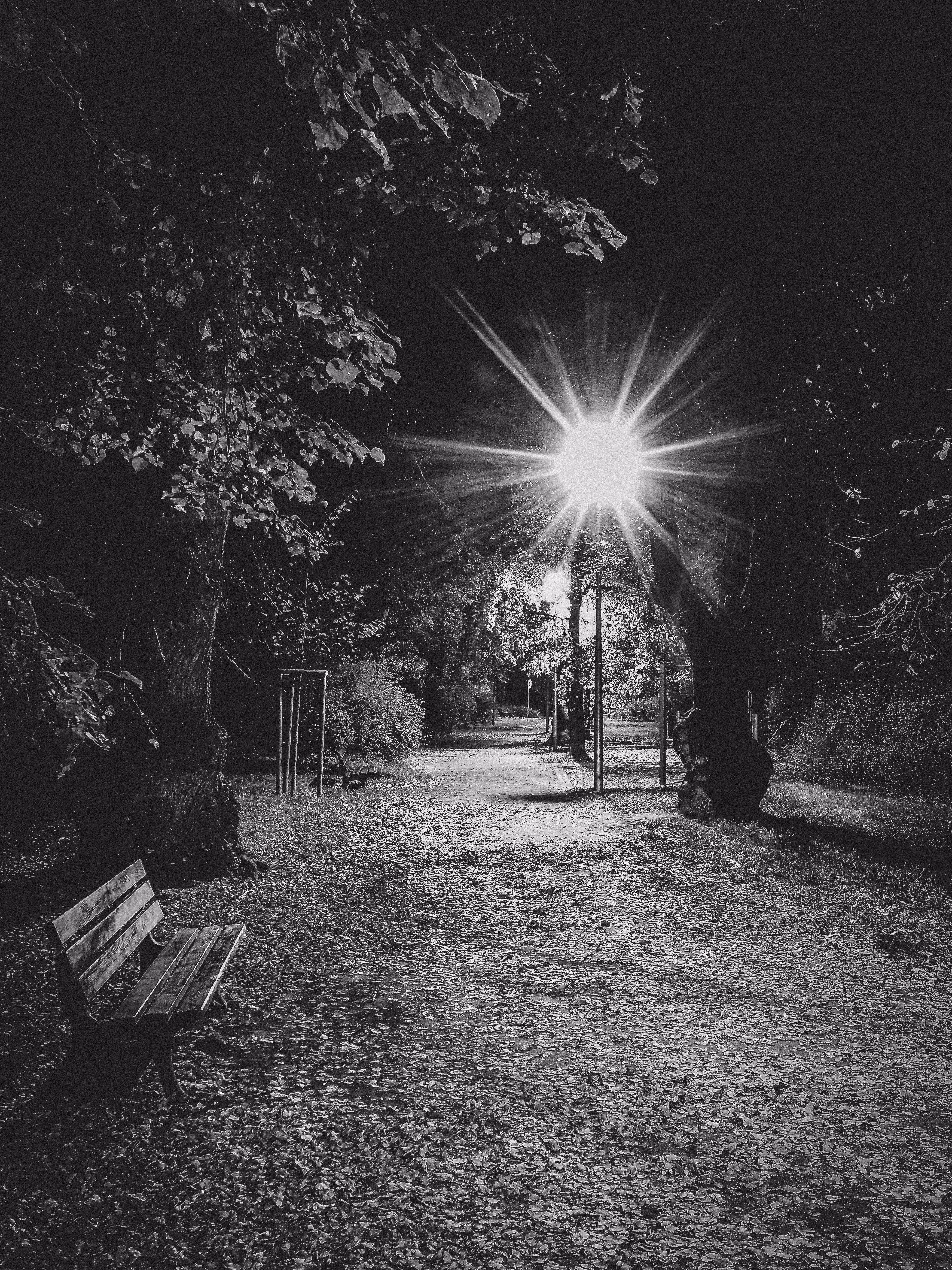 JB: B&W Nature: Street Play #007