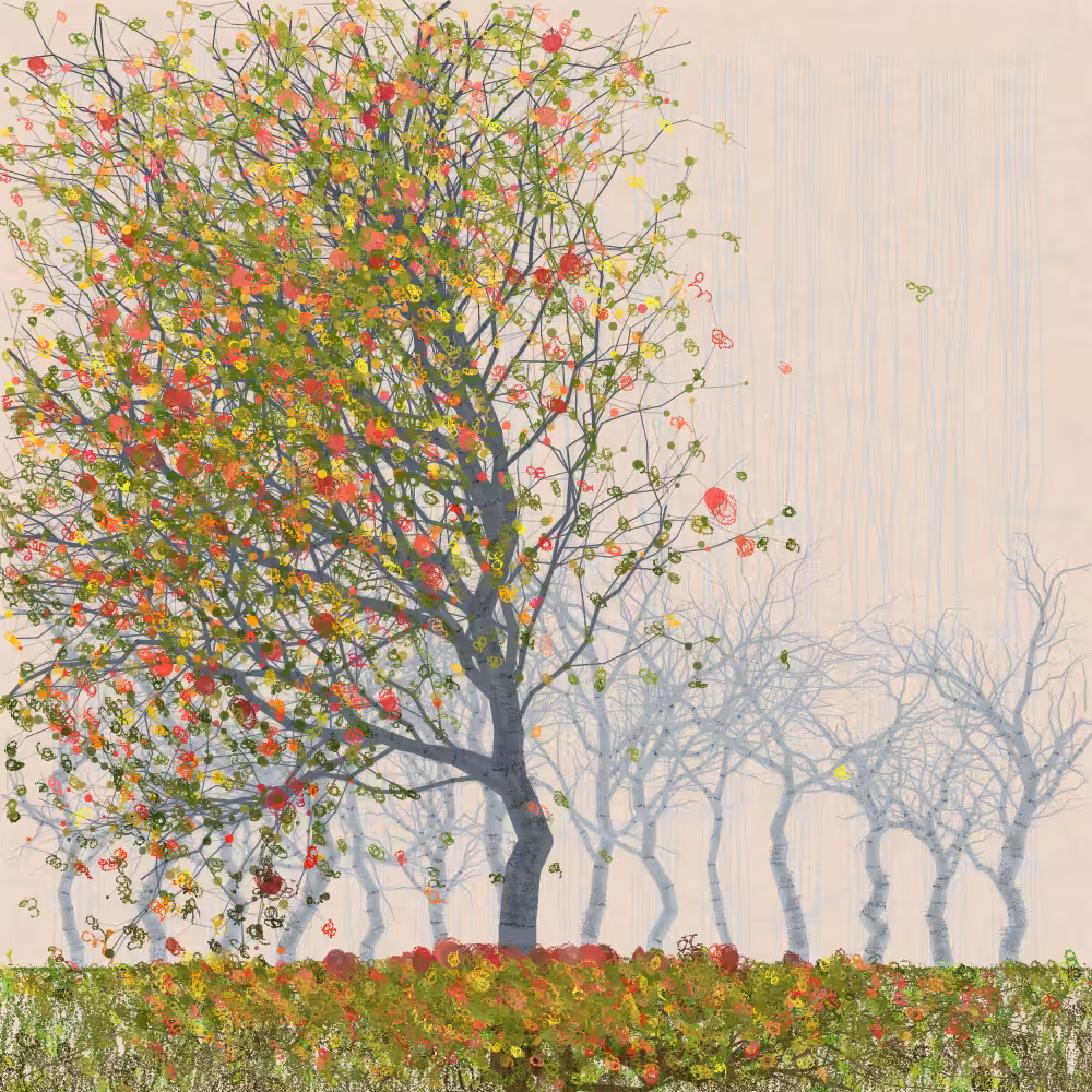 Orchard #364
