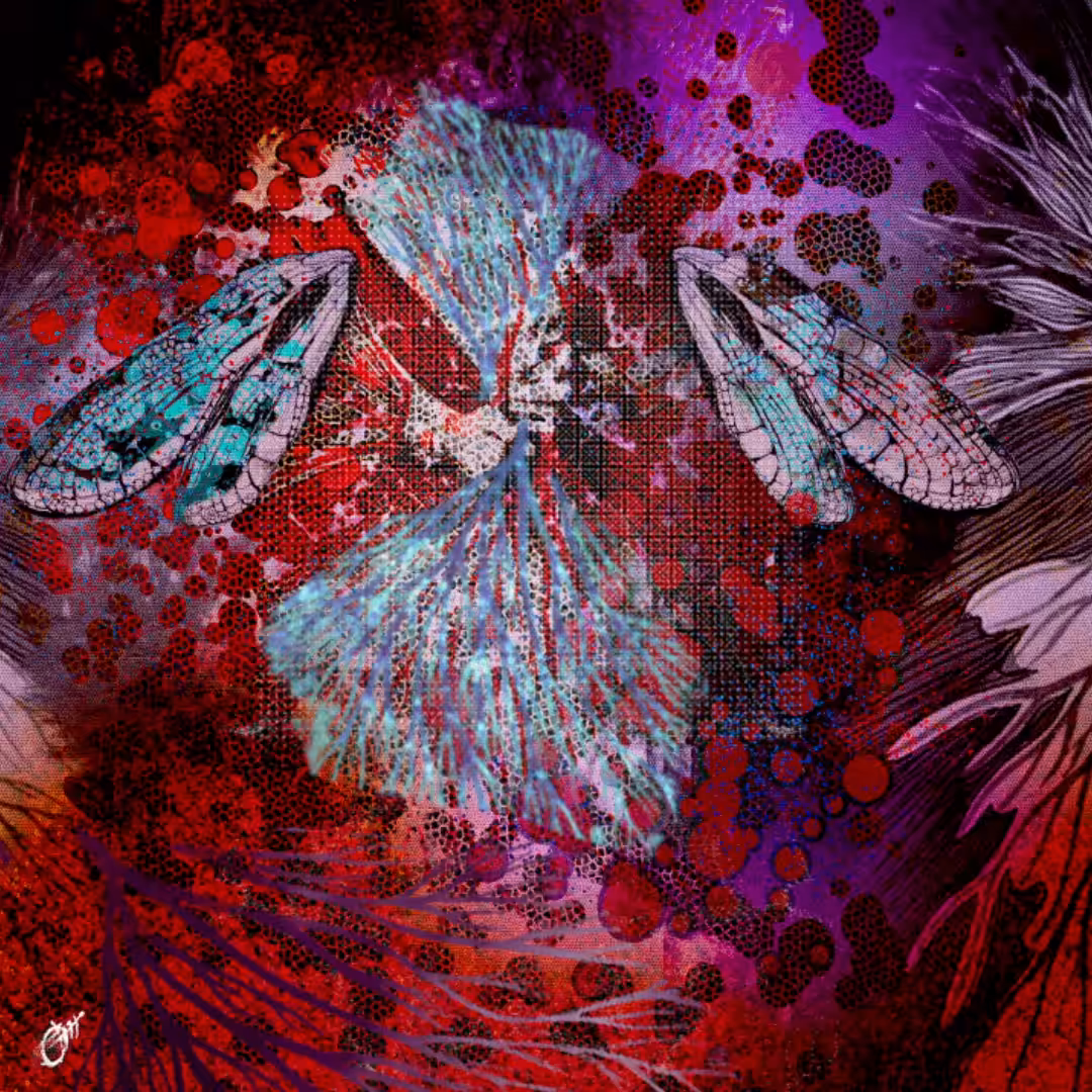 Menstruation became a butterfly