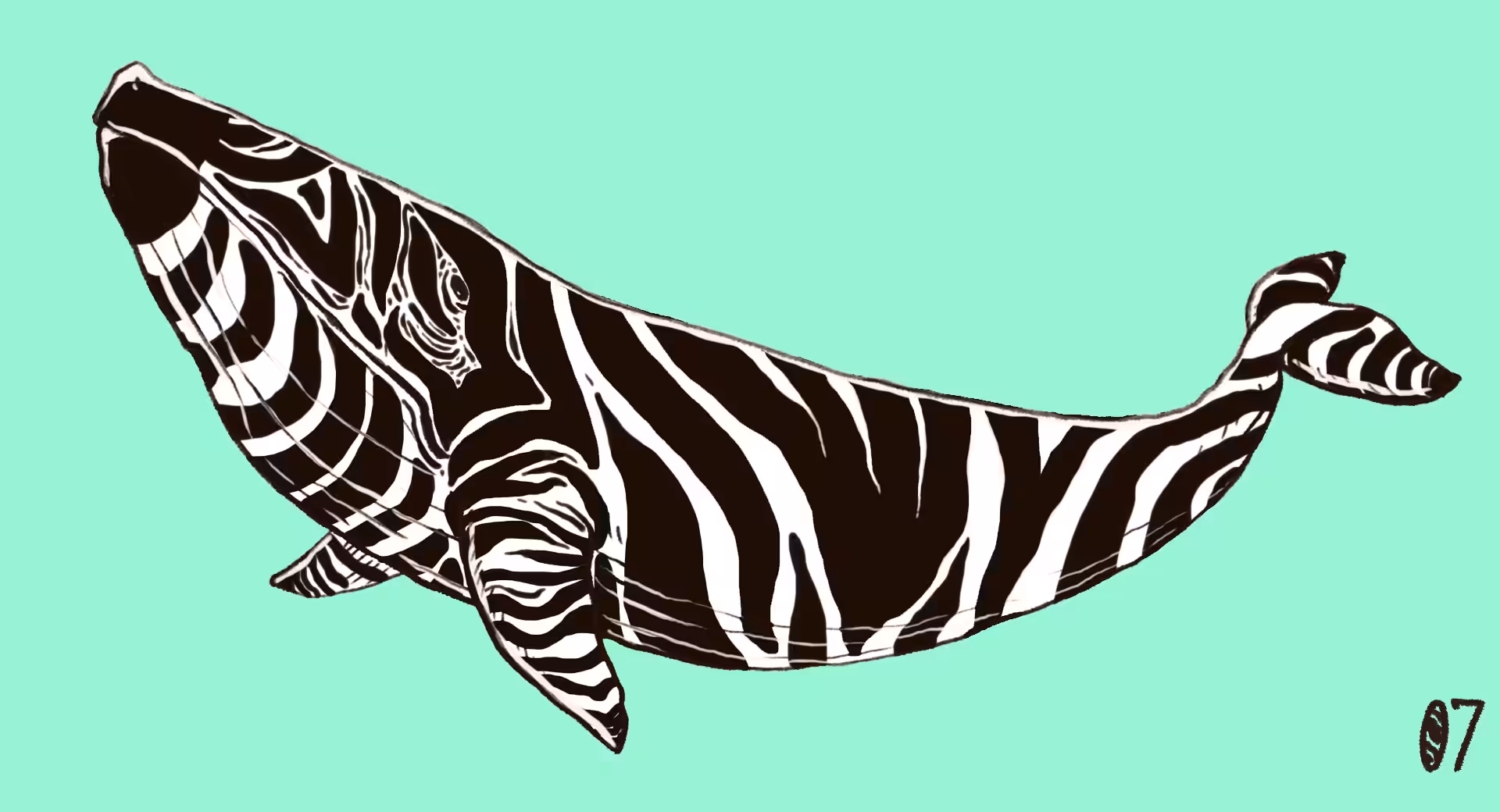 Wryto Well 07 Zebra Well