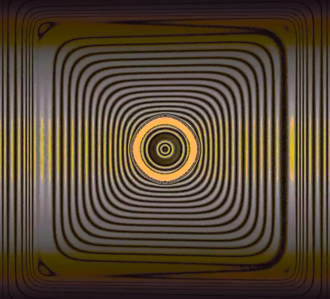 Point of View #01