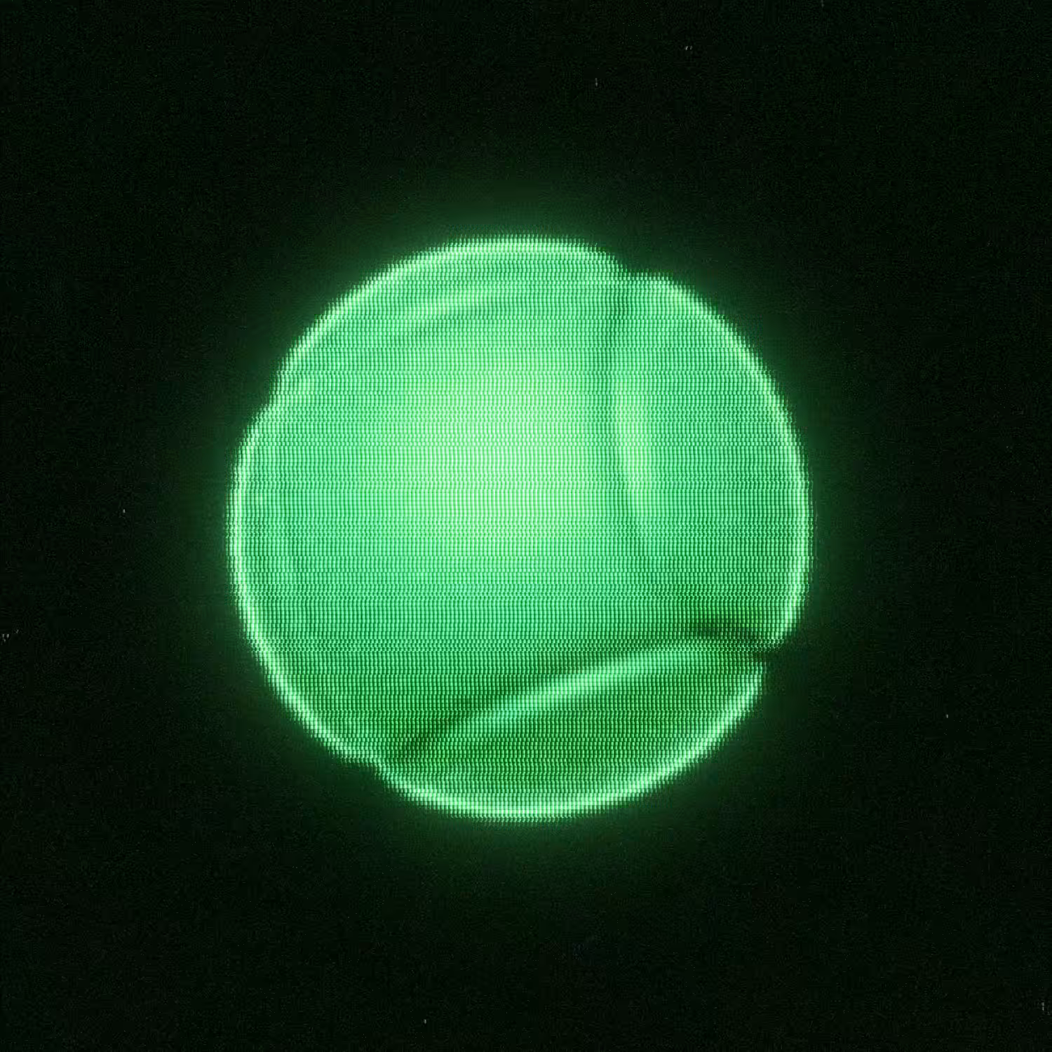 𝙵𝚕𝚊𝚖𝚒𝚗𝚐