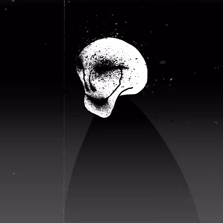 Mask
