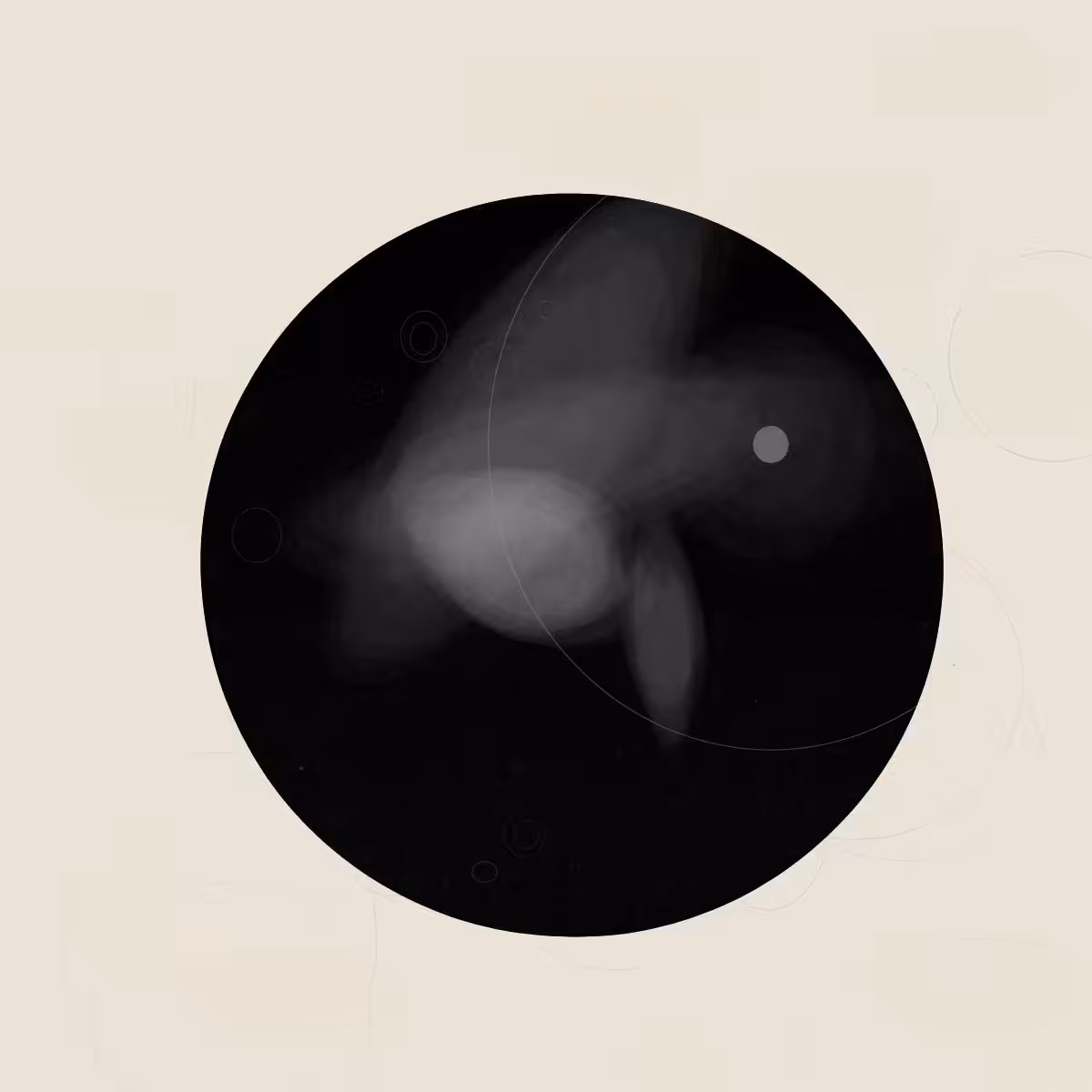 SYSTEMS #29