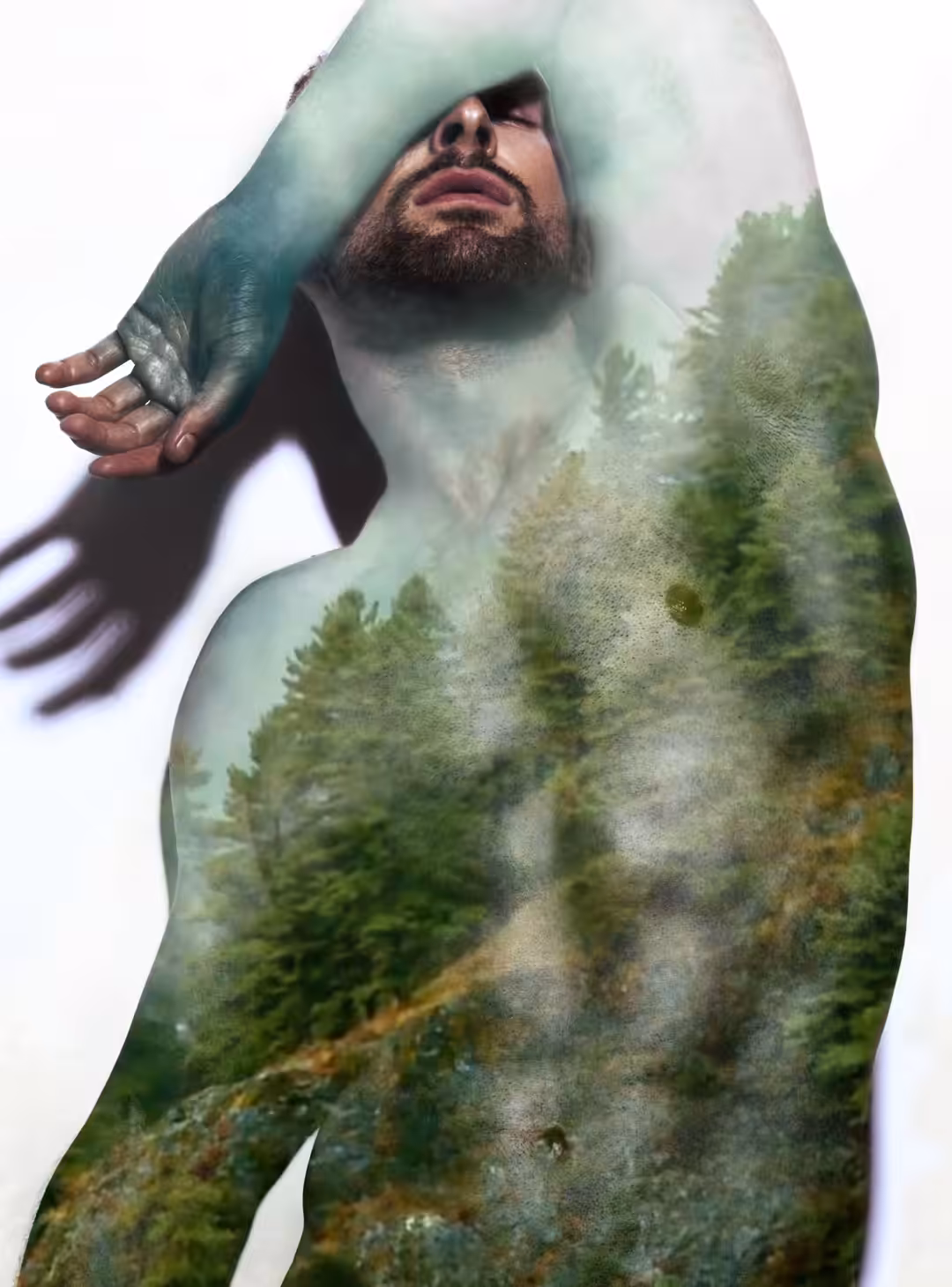 Ascent