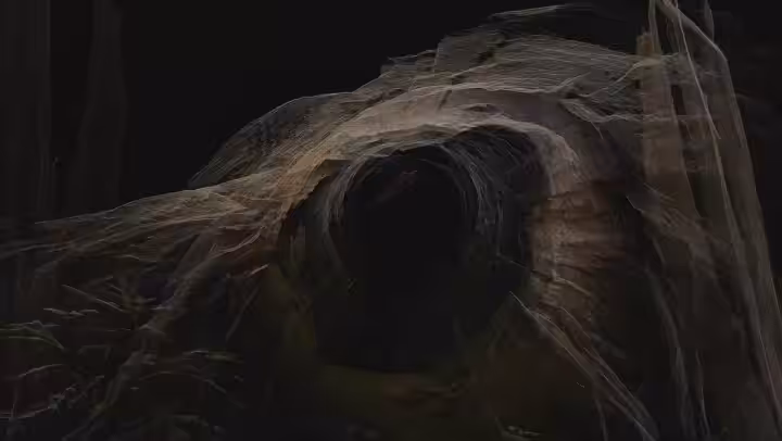 forest murmuration