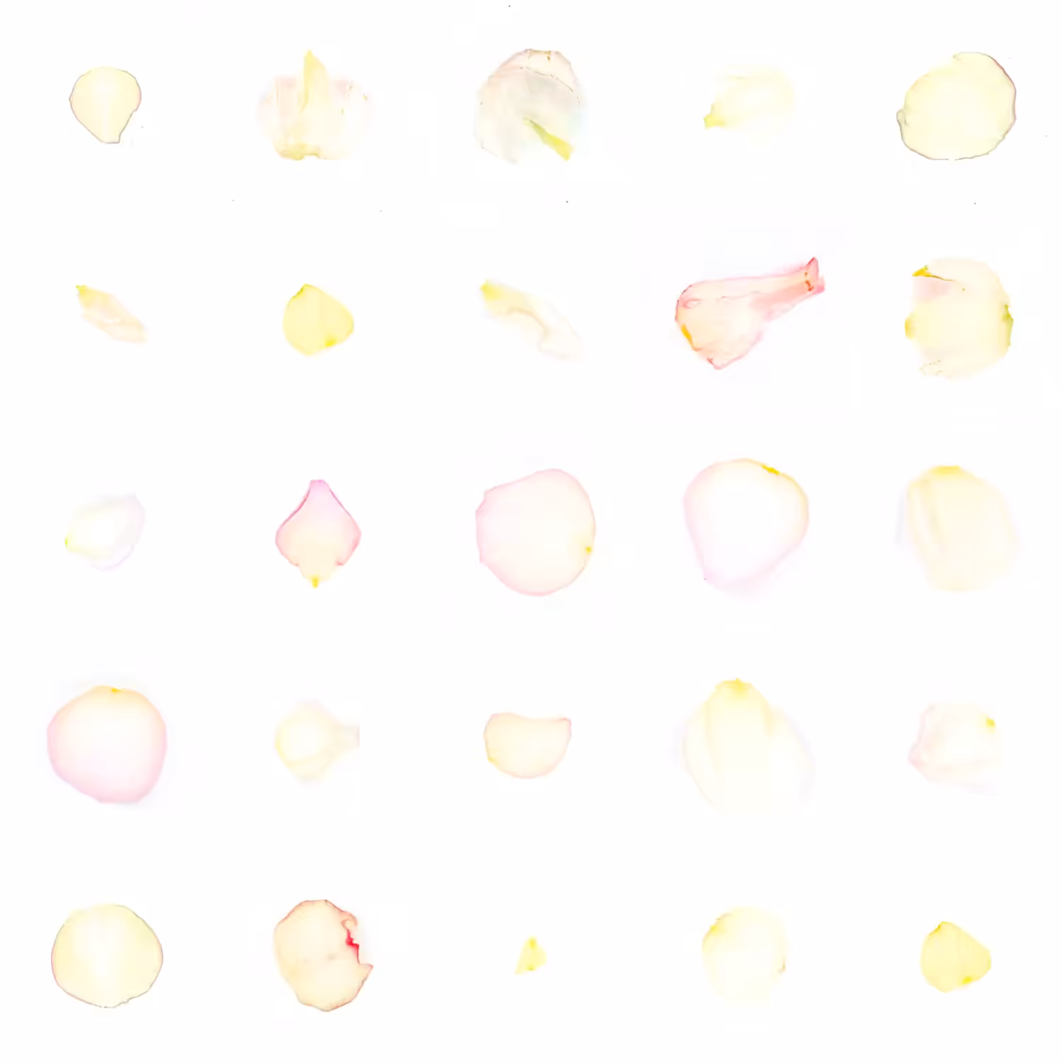 Infinite Petals 5x5#20125
