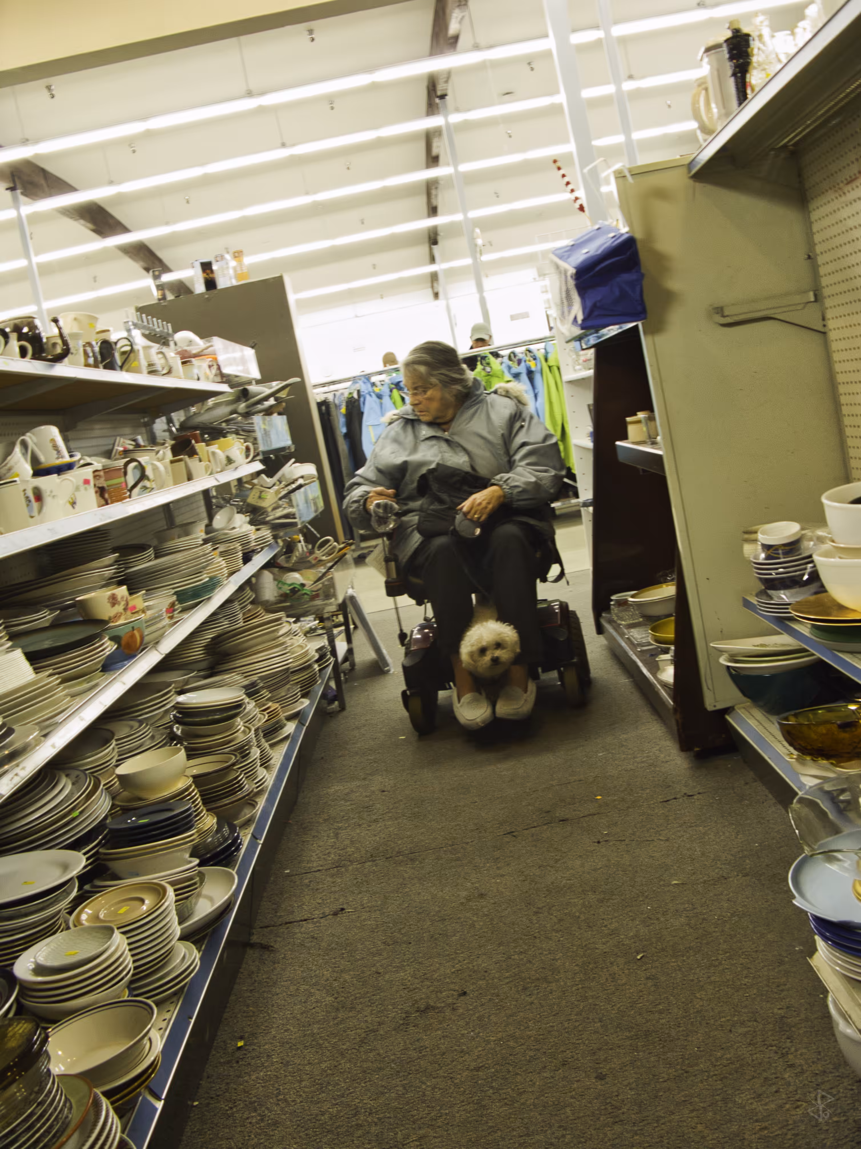 Dishware