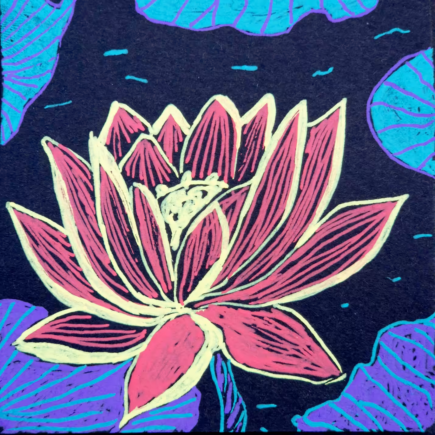 Morning cards: The Lotus