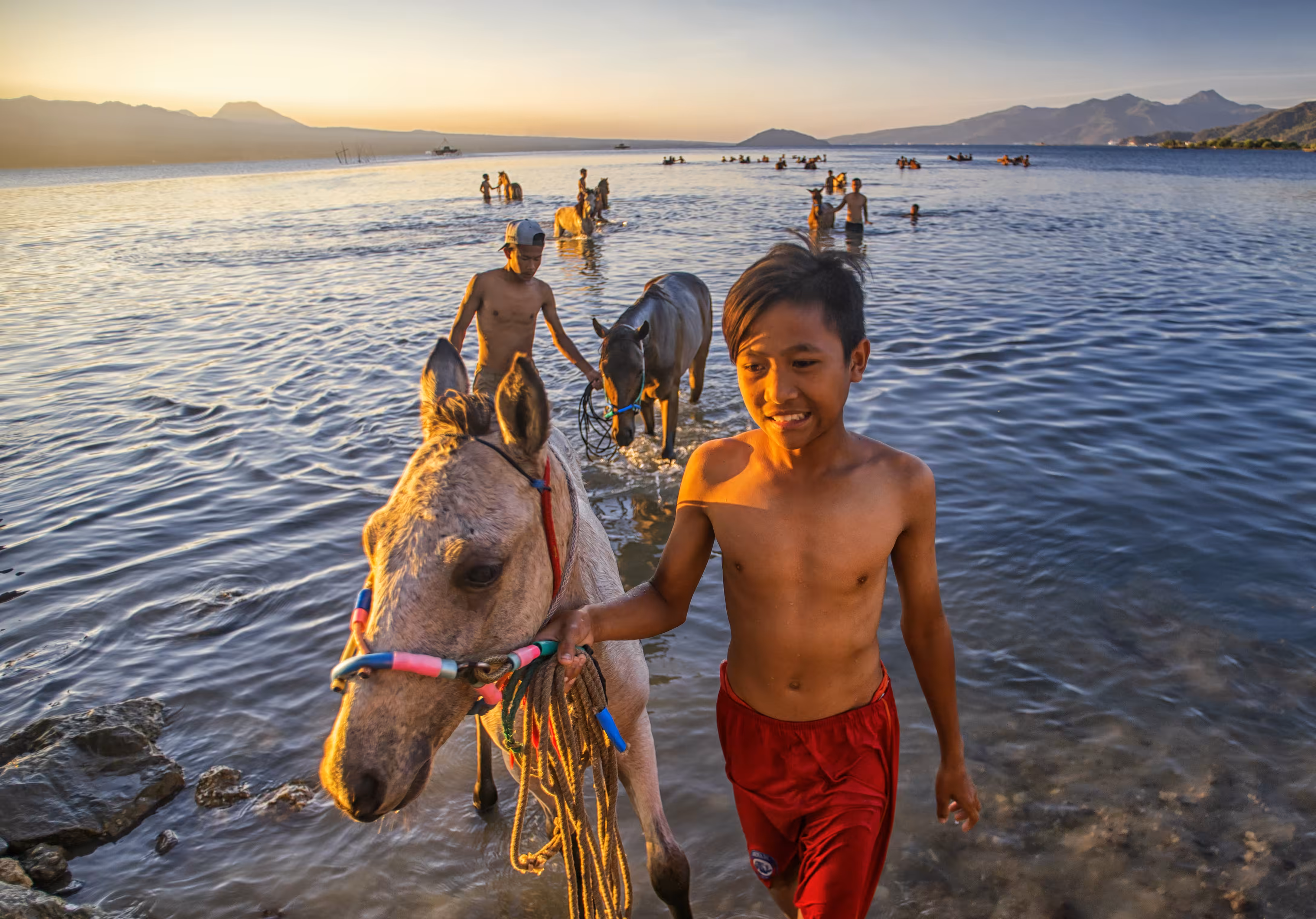 horse, human and sunset