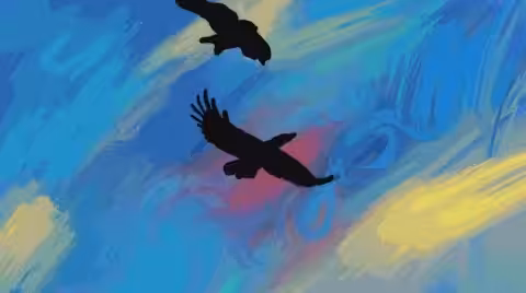 Bird flight
