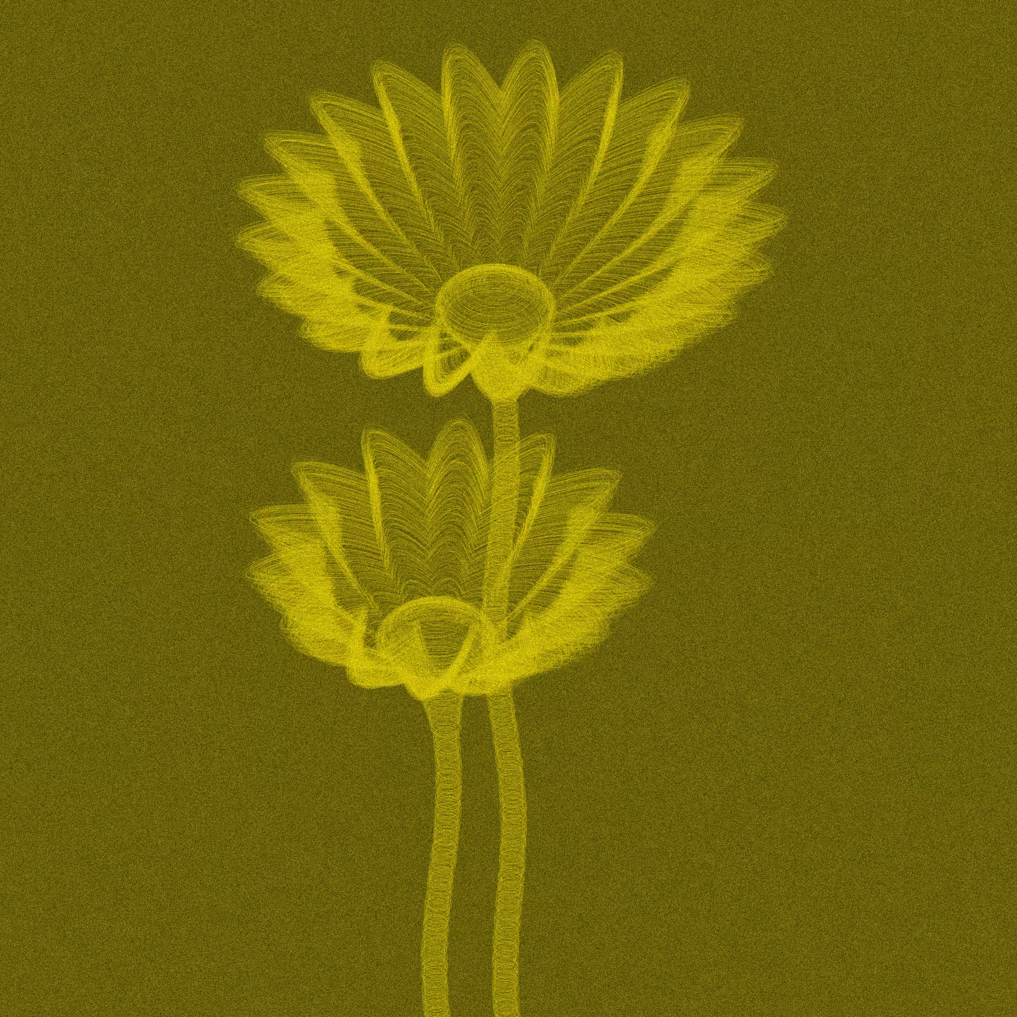 Code Flowers #39