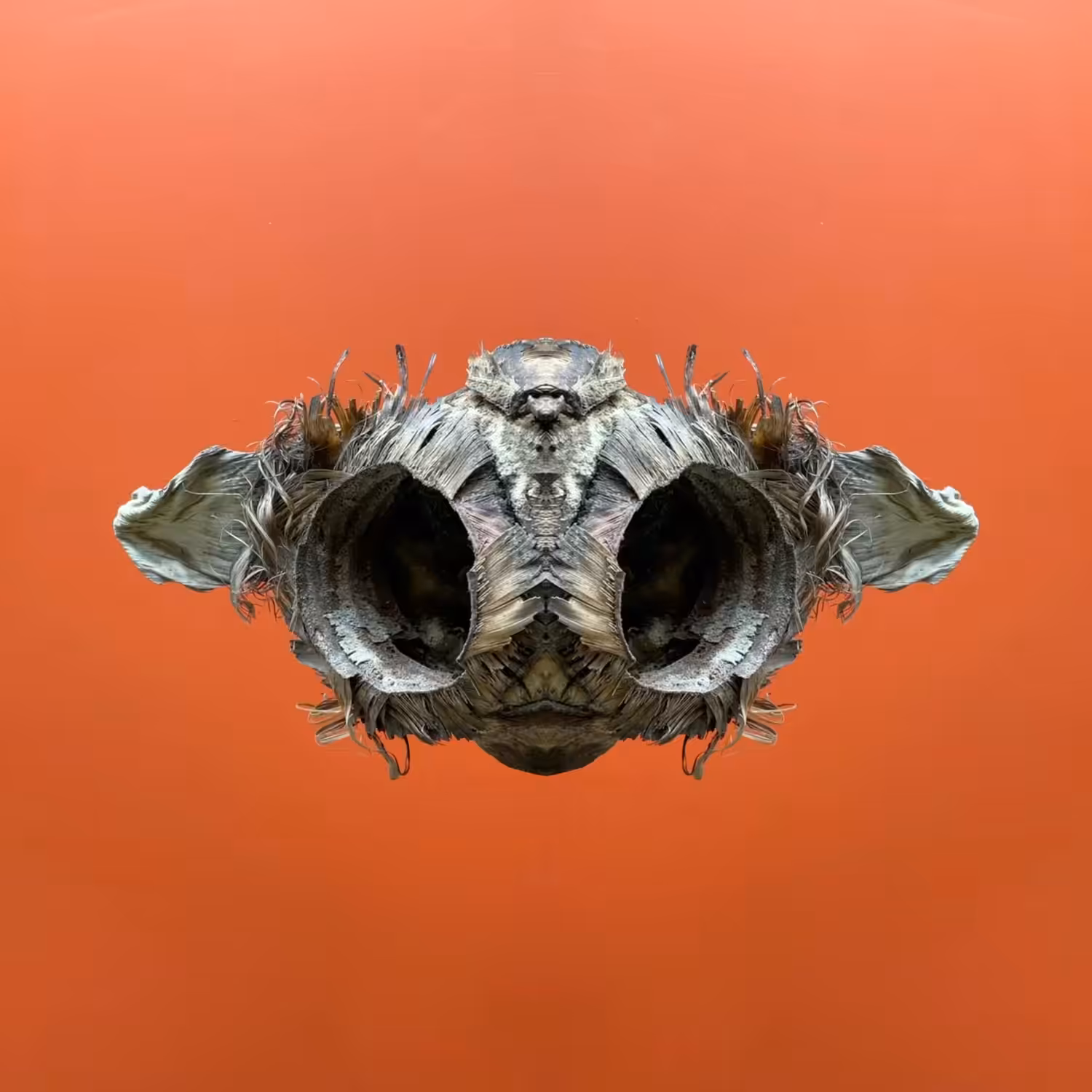 Oracle II