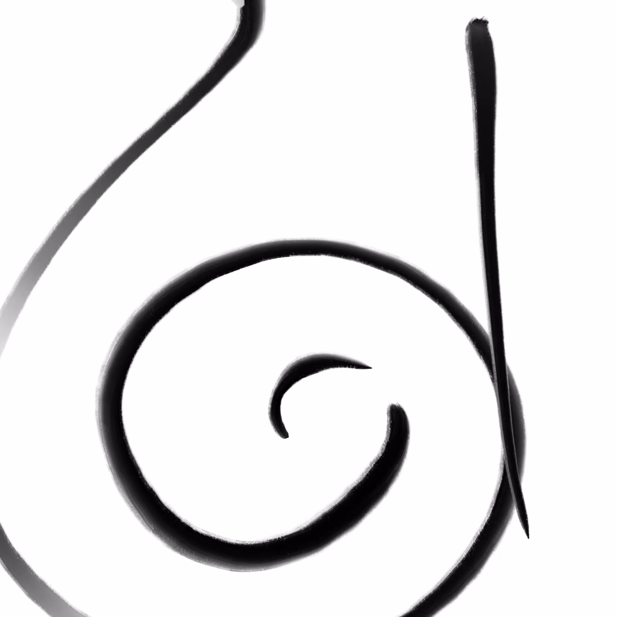 DS009