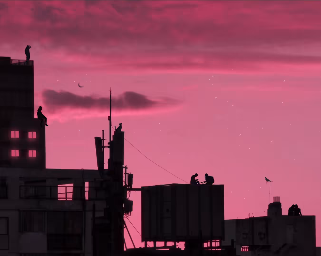 Under the same sky