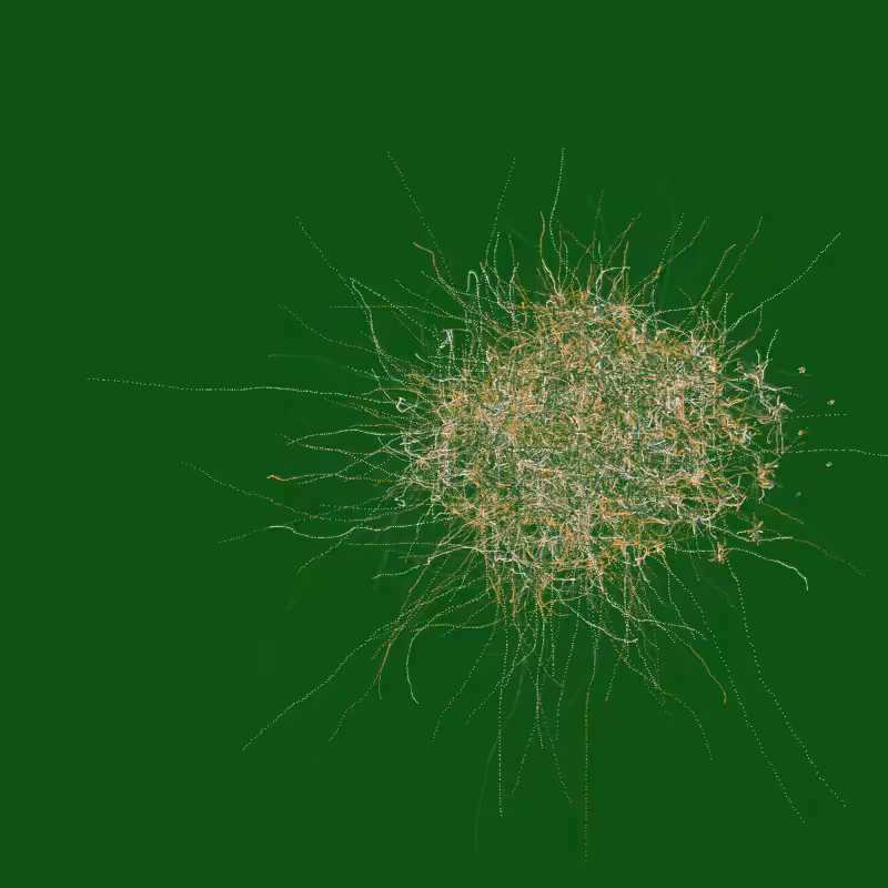 fibinous infection #34