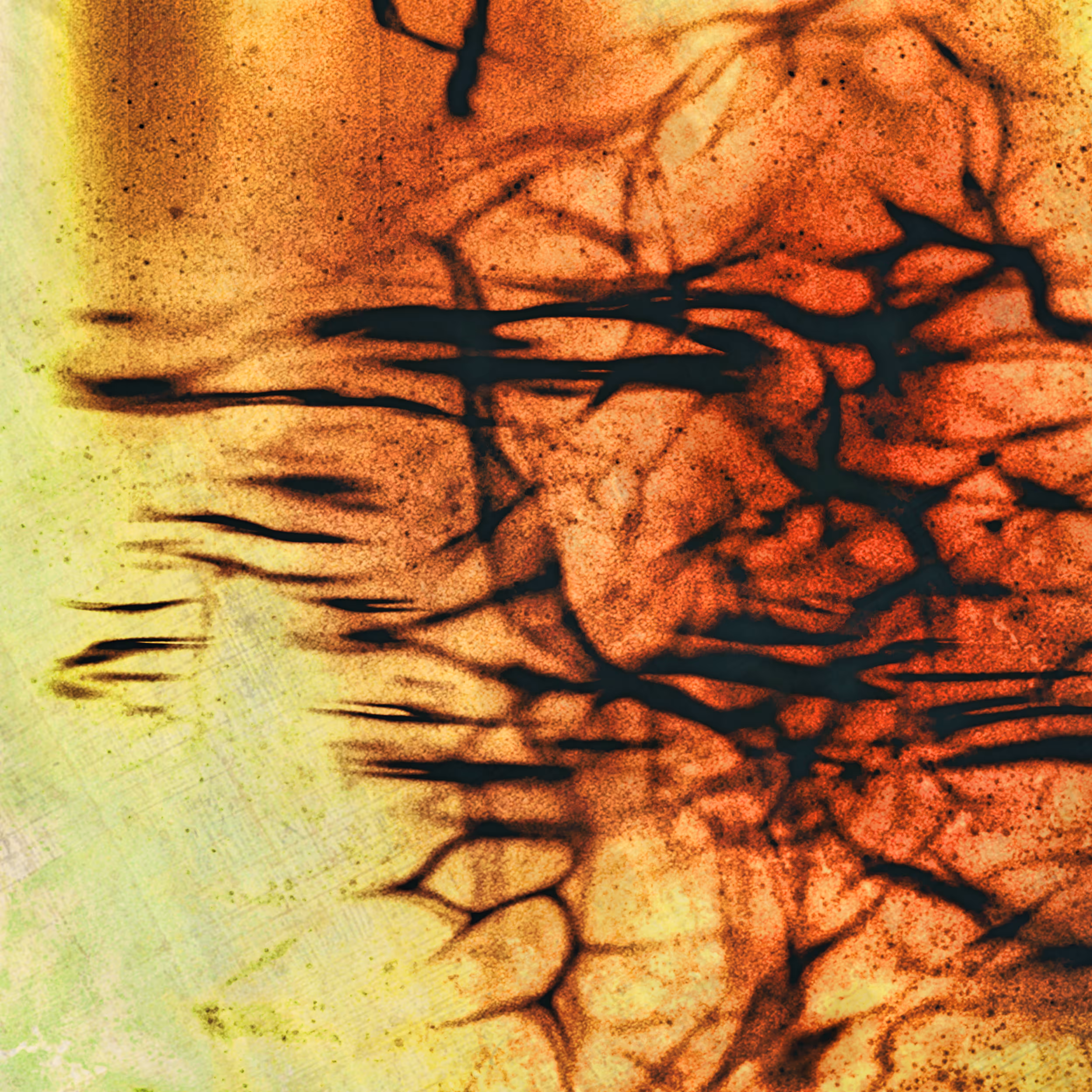 BrainDead #04
