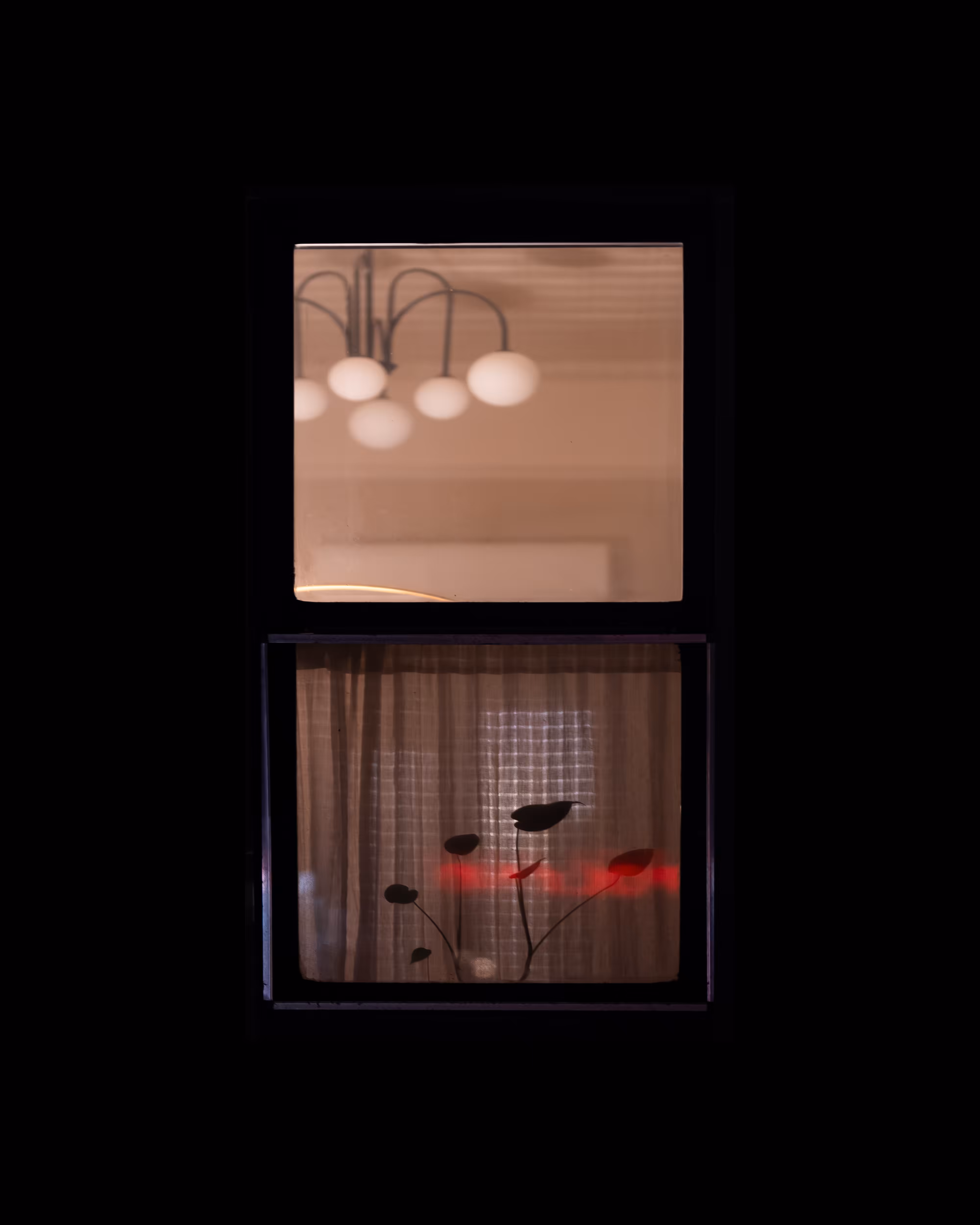 WINDOW 24