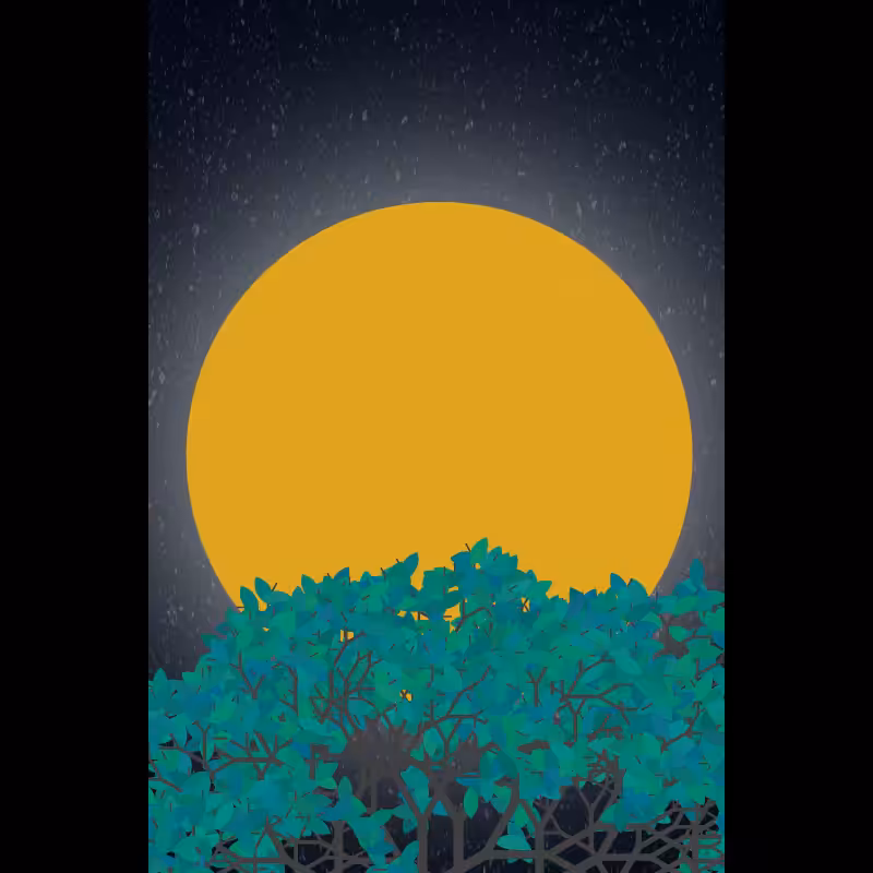 Moonlight Sonata #25