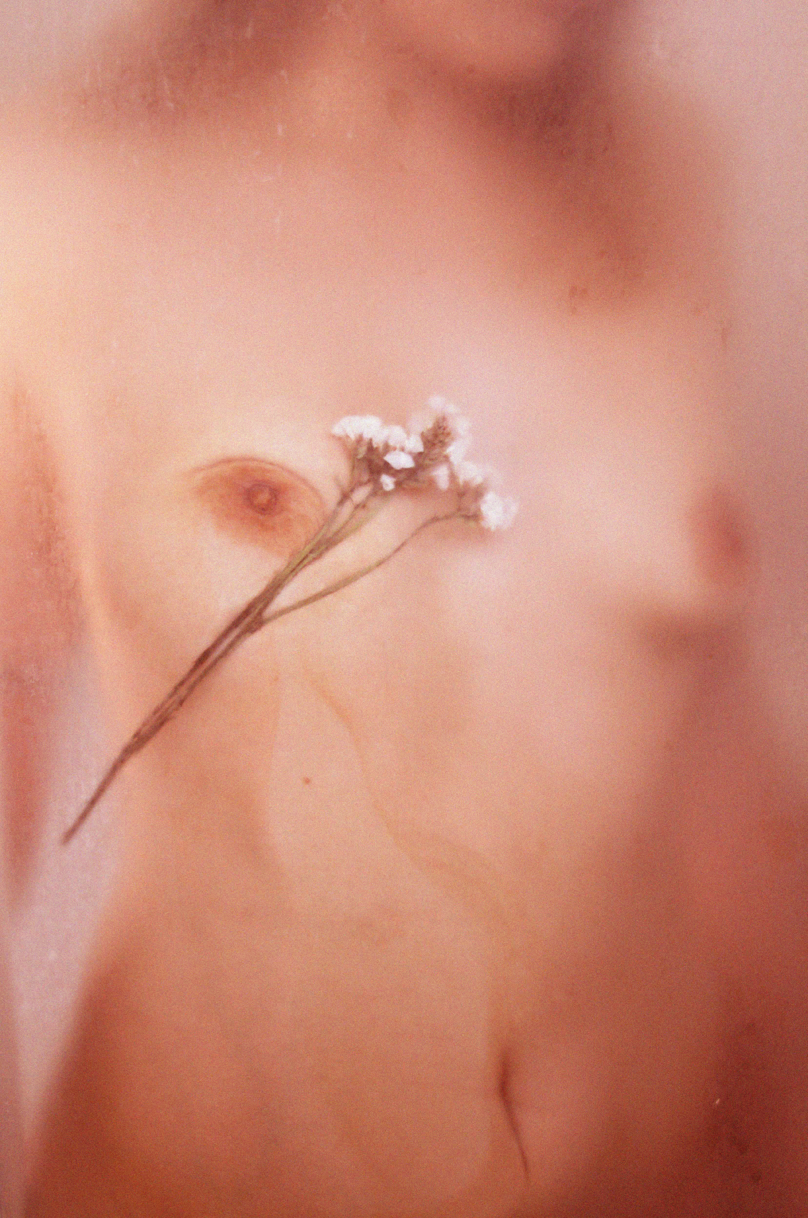 Body and flower 