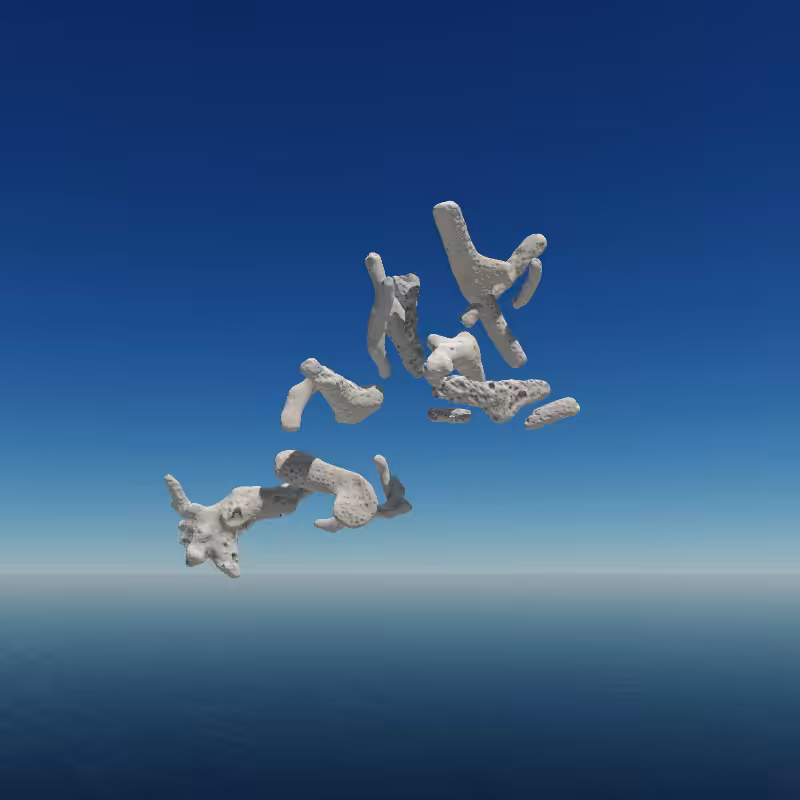 Bone Work (Gulf of Mexico) 2022 #47