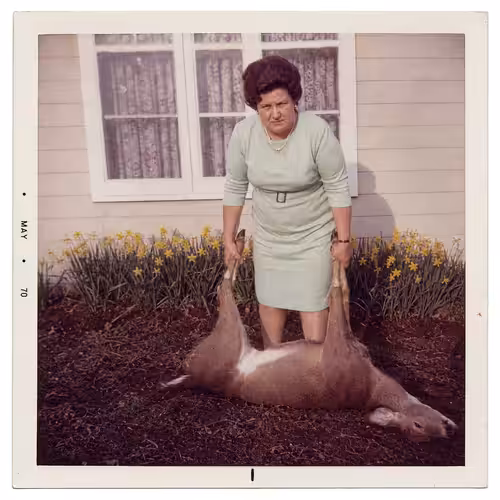 Dead Deer