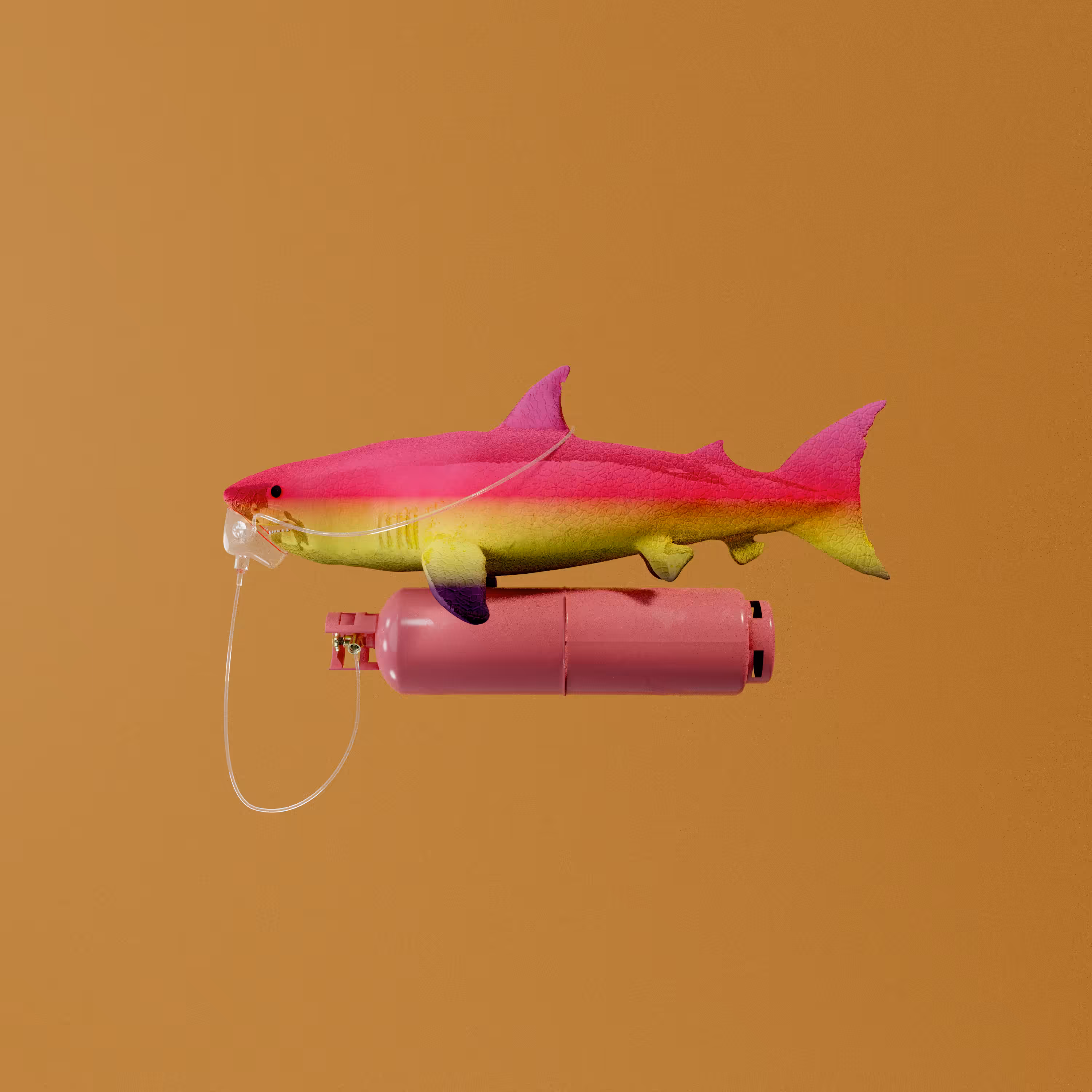 Non Fungible Shark [MELT]